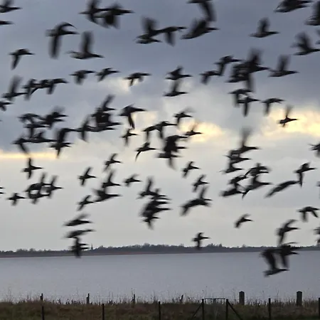 Kamp alanı Prachtig De Wadloper *